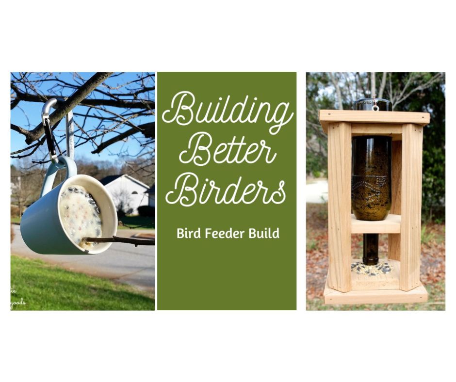 birdfeederbuild