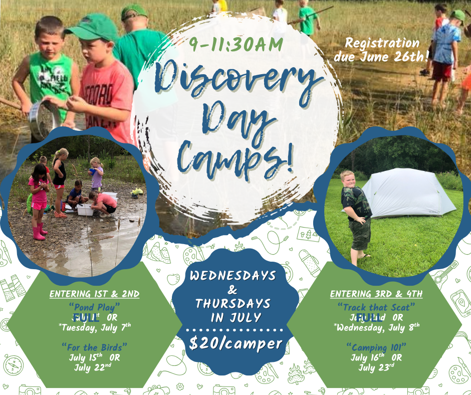 2026 Discovery Day Camp Website