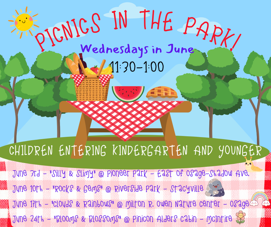 2026 Picnics in the Park! Website