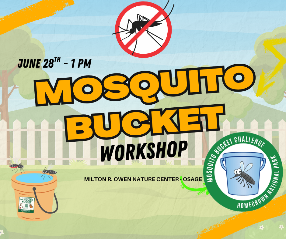 Mosquito Bucket Website